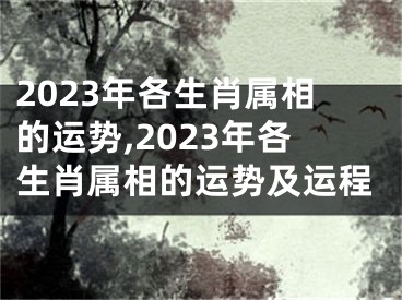 2023年各生肖属相的运势,2023年各生肖属相的运势及运程