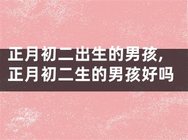 正月初二出生的男孩,正月初二生的男孩好吗