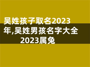 吴姓孩子取名2023年,吴姓男孩名字大全2023属兔