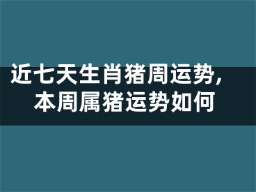 近七天生肖猪周运势,本周属猪运势如何