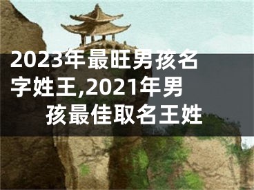 2023年最旺男孩名字姓王,2021年男孩最佳取名王姓