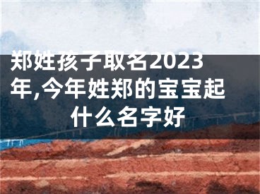 郑姓孩子取名2023年,今年姓郑的宝宝起什么名字好