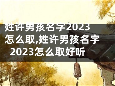 姓许男孩名字2023怎么取,姓许男孩名字2023怎么取好听