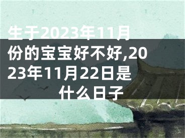 生于2023年11月份的宝宝好不好,2023年11月22日是什么日子