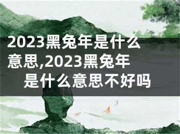 2023黑兔年是什么意思,2023黑兔年是什么意思不好吗