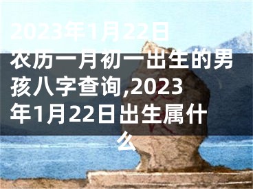 2023年1月22日农历一月初一出生的男孩八字查询,2023年1月22日出生属什么