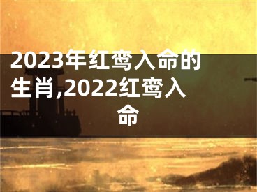 2023年红鸾入命的生肖,2022红鸾入命