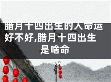 腊月十四出生的人命运好不好,腊月十四出生是啥命