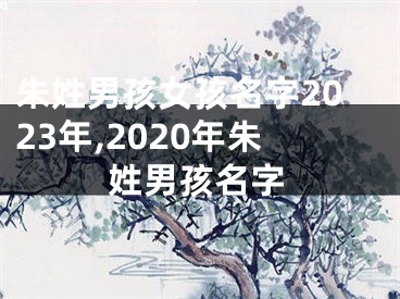 朱姓男孩女孩名字2023年,2020年朱姓男孩名字