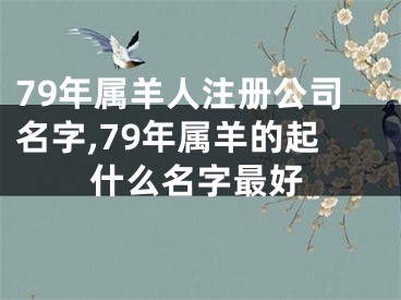 79年属羊人注册公司名字,79年属羊的起什么名字最好