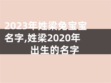 2023年姓梁兔宝宝名字,姓梁2020年出生的名字