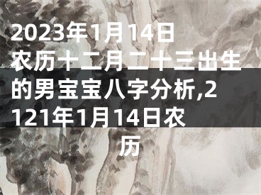 2023年1月14日农历十二月二十三出生的男宝宝八字分析,2121年1月14日农历