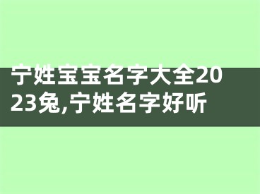 宁姓宝宝名字大全2023兔,宁姓名字好听