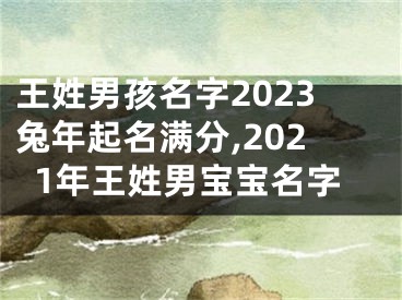 王姓男孩名字2023兔年起名满分,2021年王姓男宝宝名字