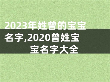 2023年姓曾的宝宝名字,2020曾姓宝宝名字大全