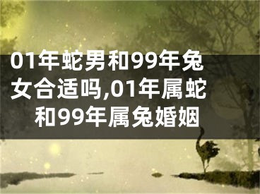 01年蛇男和99年兔女合适吗,01年属蛇和99年属兔婚姻