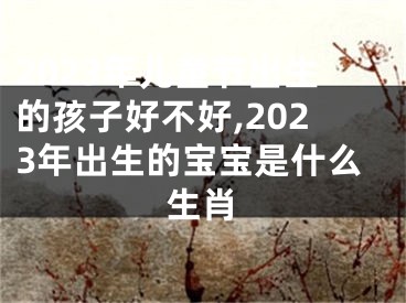 2023年儿童节出生的孩子好不好,2023年出生的宝宝是什么生肖