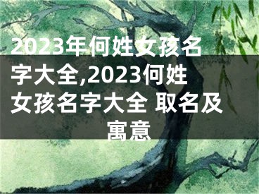 2023年何姓女孩名字大全,2023何姓女孩名字大全 取名及寓意