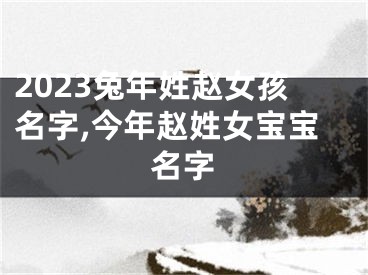 2023兔年姓赵女孩名字,今年赵姓女宝宝名字