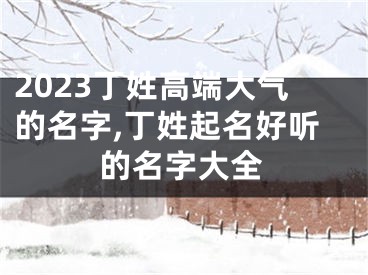 2023丁姓高端大气的名字,丁姓起名好听的名字大全