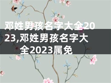 邓姓男孩名字大全2023,邓姓男孩名字大全2023属免