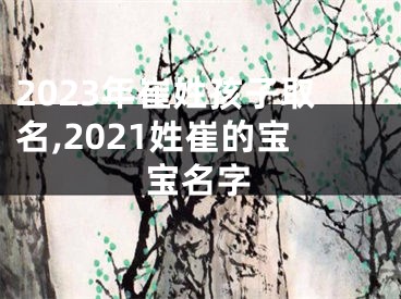 2023年崔姓孩子取名,2021姓崔的宝宝名字