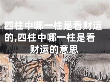 四柱中哪一柱是看财运的,四柱中哪一柱是看财运的意思