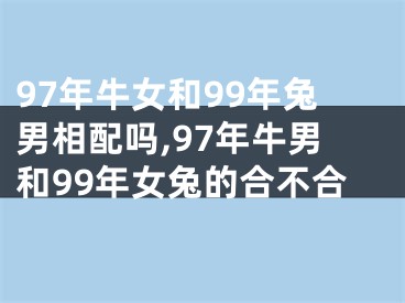 97年牛女和99年兔男相配吗,97年牛男和99年女兔的合不合