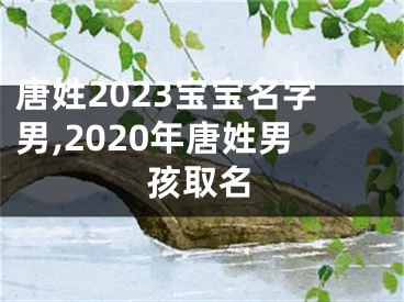 唐姓2023宝宝名字男,2020年唐姓男孩取名