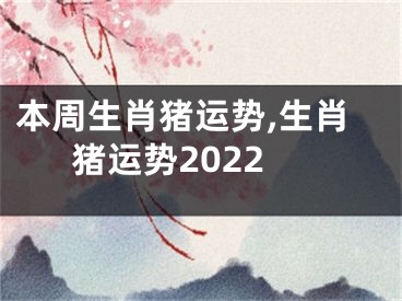 本周生肖猪运势,生肖猪运势2022