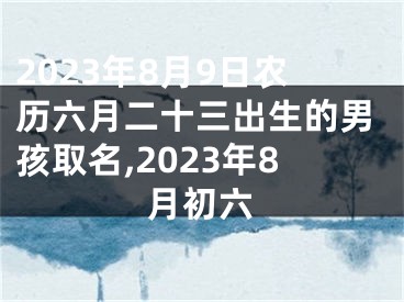 2023年8月9日农历六月二十三出生的男孩取名,2023年8月初六