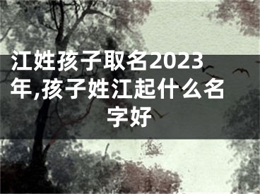 江姓孩子取名2023年,孩子姓江起什么名字好