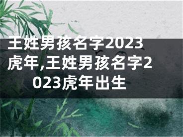 王姓男孩名字2023虎年,王姓男孩名字2023虎年出生