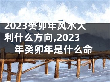 2023癸卯年风水大利什么方向,2023年癸卯年是什么命