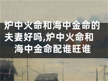 炉中火命和海中金命的夫妻好吗,炉中火命和海中金命配谁旺谁