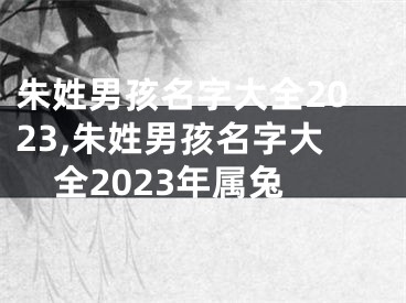 朱姓男孩名字大全2023,朱姓男孩名字大全2023年属兔