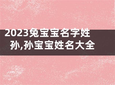 2023兔宝宝名字姓孙,孙宝宝姓名大全