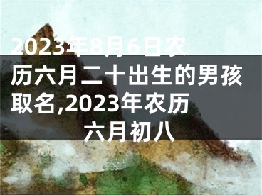 2023年8月6日农历六月二十出生的男孩取名,2023年农历六月初八