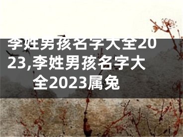 李姓男孩名字大全2023,李姓男孩名字大全2023属兔