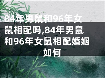 84年男鼠和96年女鼠相配吗,84年男鼠和96年女鼠相配婚姻如何