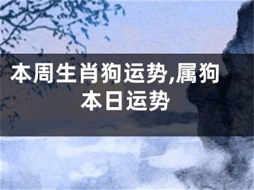 本周生肖狗运势,属狗本日运势