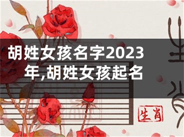 胡姓女孩名字2023年,胡姓女孩起名