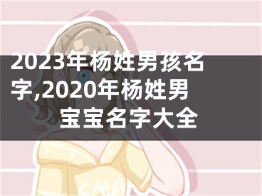 2023年杨姓男孩名字,2020年杨姓男宝宝名字大全