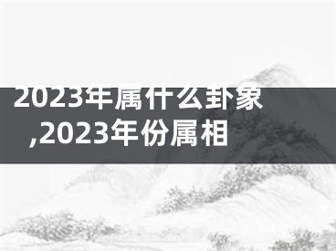 2023年属什么卦象,2023年份属相