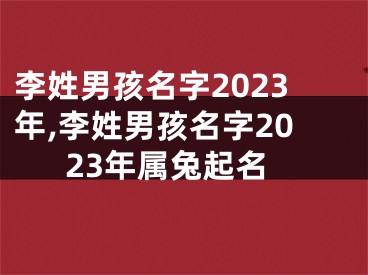 李姓男孩名字2023年,李姓男孩名字2023年属兔起名