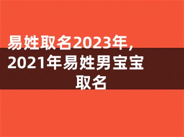 易姓取名2023年,2021年易姓男宝宝取名