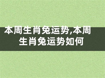 本周生肖兔运势,本周生肖兔运势如何