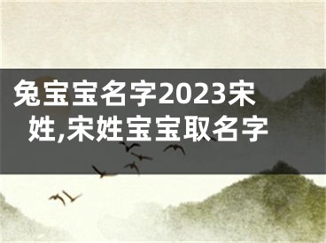 兔宝宝名字2023宋姓,宋姓宝宝取名字