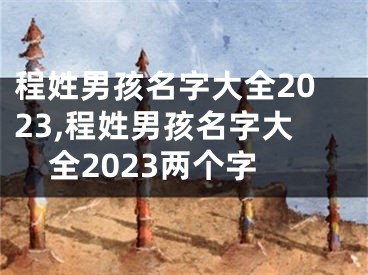 程姓男孩名字大全2023,程姓男孩名字大全2023两个字