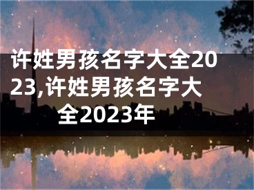 许姓男孩名字大全2023,许姓男孩名字大全2023年